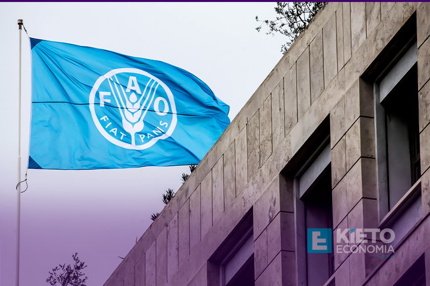 FAO Investe 43 milhões de dólares para Economia Azul