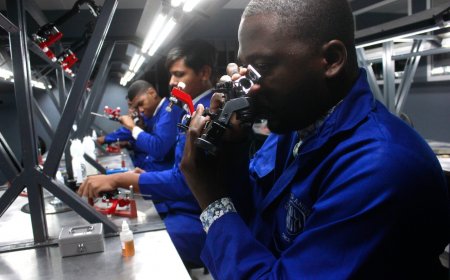 Trans Atlantic Gem Sales puts 38 Angolan diamonds up for auction, one of which weighs 180 carats