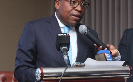 Diesel consumption drops to more than 500 million liters in 2023